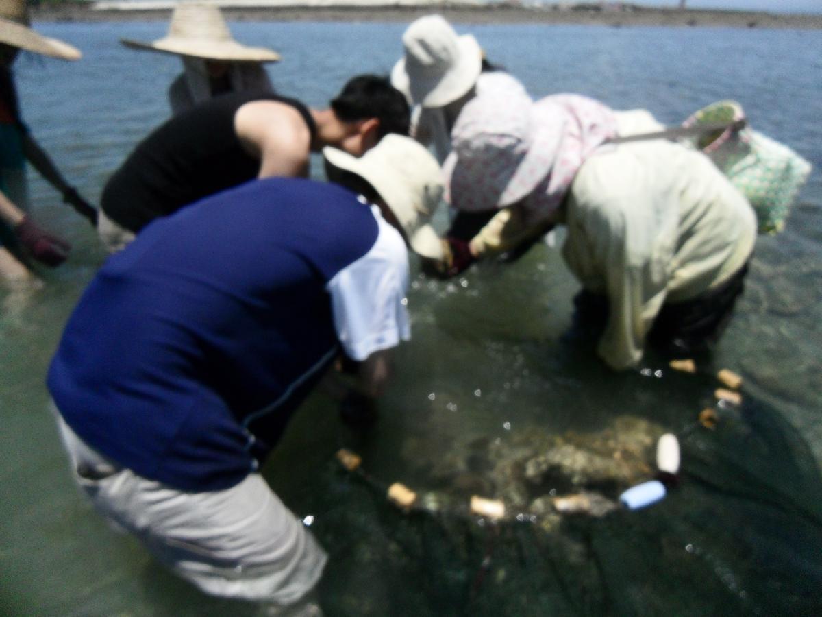 Penghu Chenhi Bay Homestay Baisha Bagian luar foto